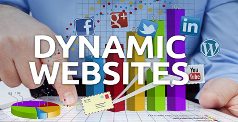 Dynamic Websites Icon