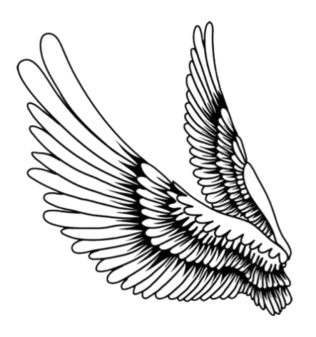 Stylized Wing Graphic